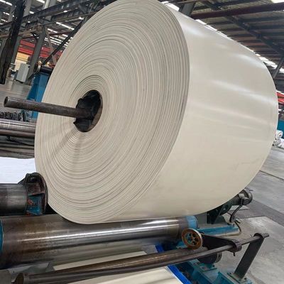 Đai băng tải cao su 3 lớp NN200 EP200 màu trắng